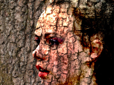 Girl in wood