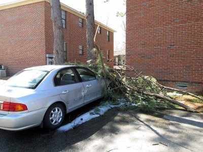 Tree on neighbor's car from ice storm