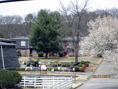 IMG_0613.jpg