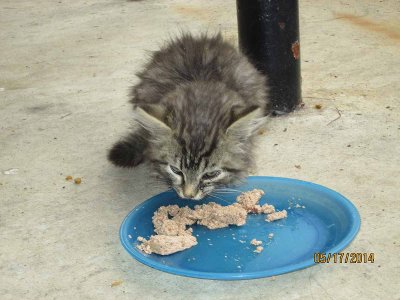 IMG_1312.jpg