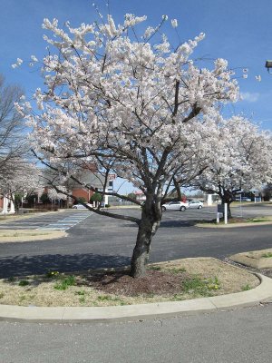 IMG_2779.jpg