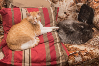 Barney and Whiskey