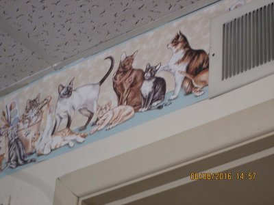 IMG_4742.jpg