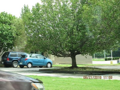 IMG_4768.jpg