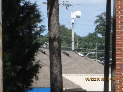 IMG_4873.jpg