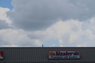 IMG_0910.jpg