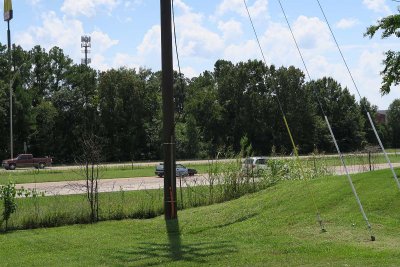 IMG_0982.jpg