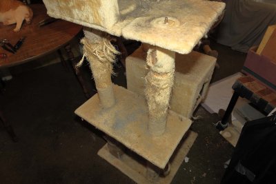 IMG_1592.jpg