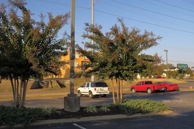 IMG_1625.jpg