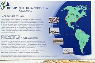 Information board Salinas