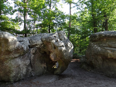 L'lphant assoupi