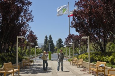 DSC_9815.jpg