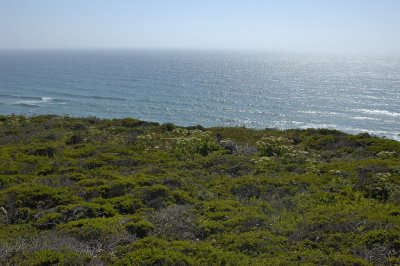 DSC_9824.jpg