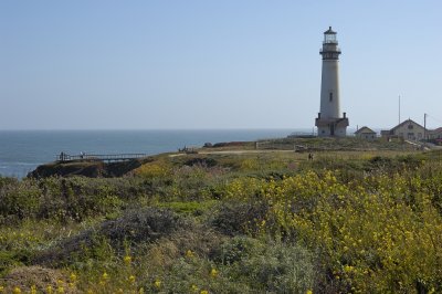 DSC_9856.jpg
