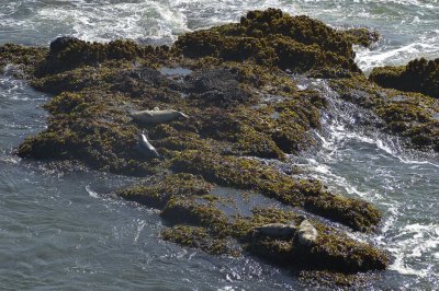 DSC_9879.jpg
