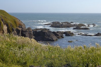 DSC_9890.jpg