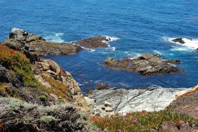 DSC_9935.jpg