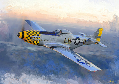 P51 Mustang 