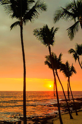 Hawaii Snapshots