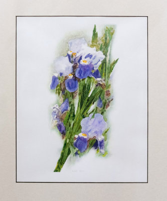 Irises by request