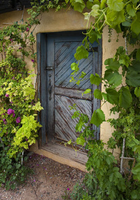 Weathered door 