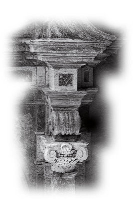 DSF_9477bw.jpg