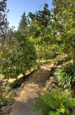 Our garden path