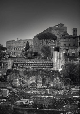 View toward the Basilica Maxentius & the Amphitheatrum Flavium