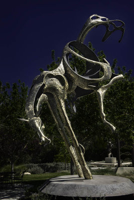 Wild horse at Sculpterra Vineyard - Paso Robles