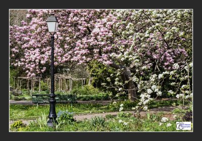 Le printemps ?