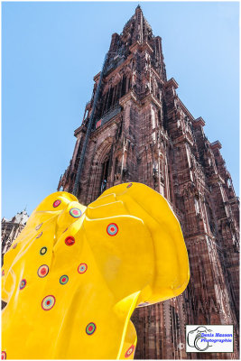 Cerf-tte par MARC FELTEN - Place de la Cathdrale