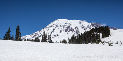 Mount Rainier