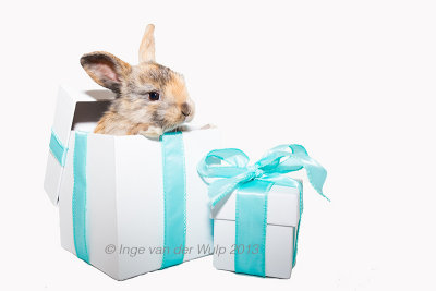 Cadeau