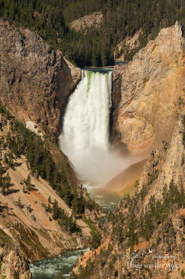 Grand Canyon of Yellowstone