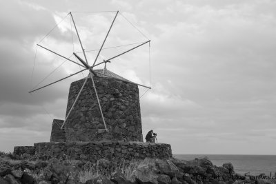 seawatching at the windmills