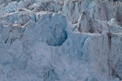 Glacier Bay Alaska-0995.jpg