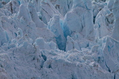 Glacier Bay Alaska-1003.jpg