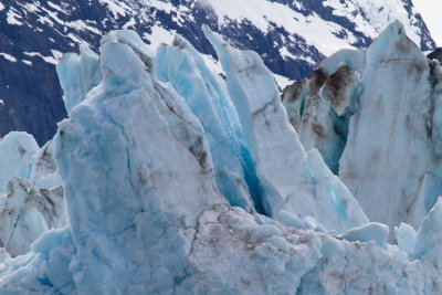 Glacier Bay Alaska-1004.jpg