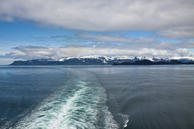 Glacier Bay Alaska-7957.jpg