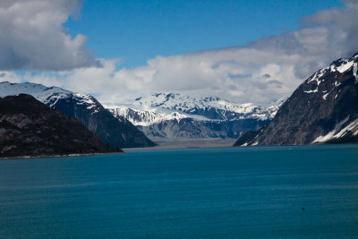 Glacier Bay Alaska-8007.jpg