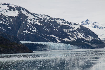 Glacier Bay Alaska-8036.jpg