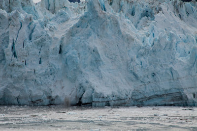 Glacier Bay Alaska-8077.jpg
