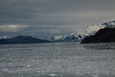 Glacier Bay Alaska-8103.jpg