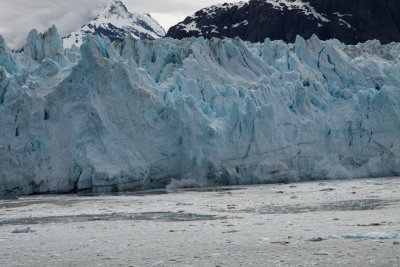 Glacier Bay Alaska-8107.jpg