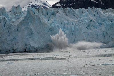 Glacier Bay Alaska-8116.jpg