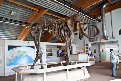 Beringia Museum