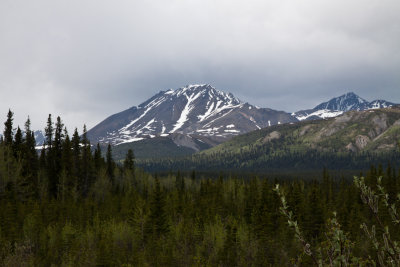 Denali-9156.jpg