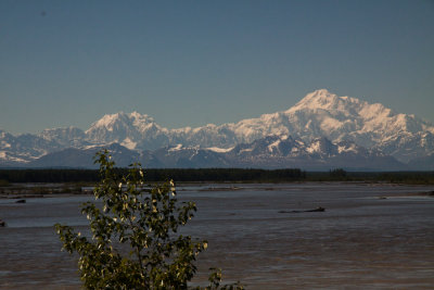 Denali National Park