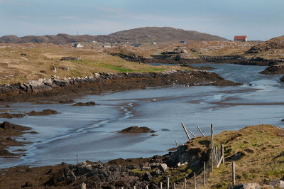 Low Tide