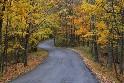 Country road, Brown County State Park
